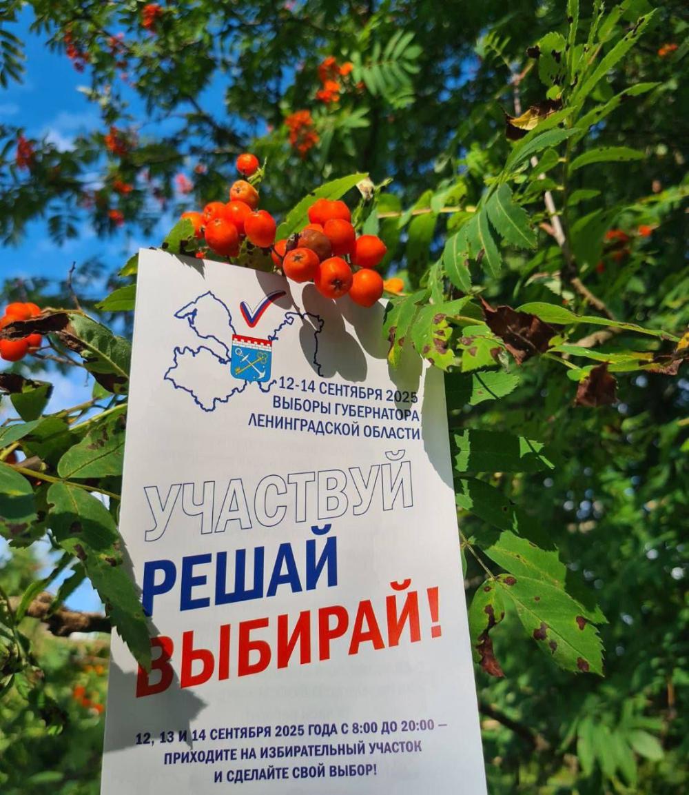 Выборы