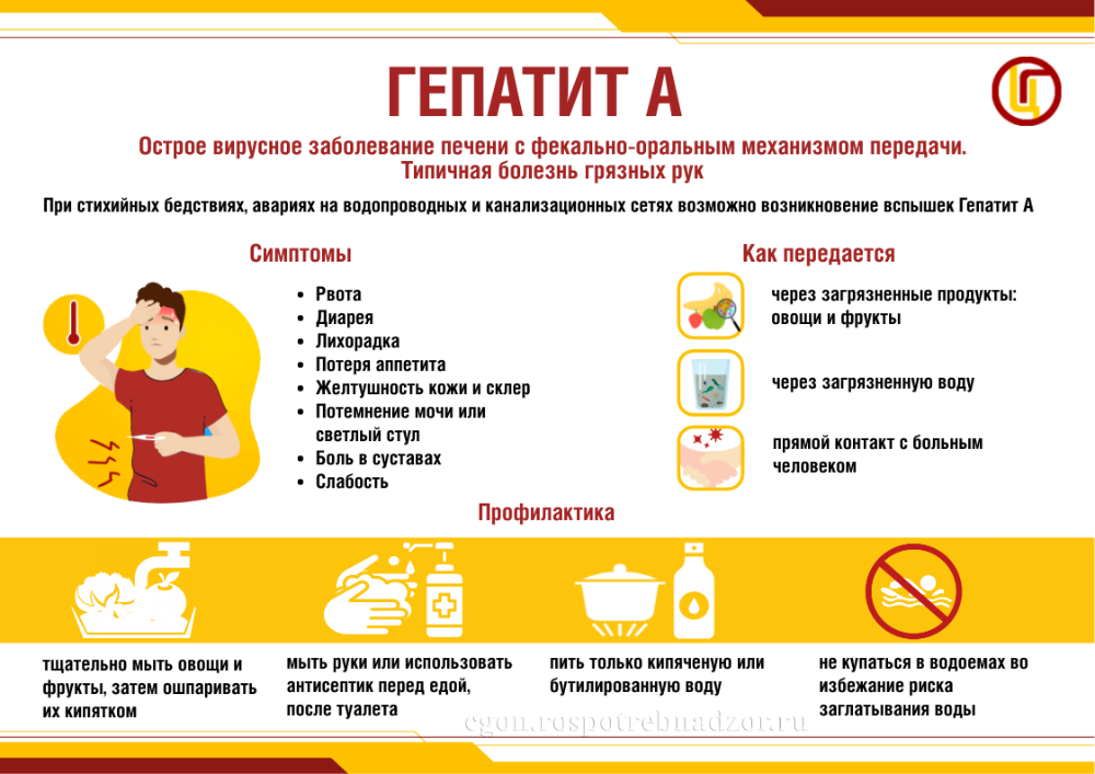 Гепатит