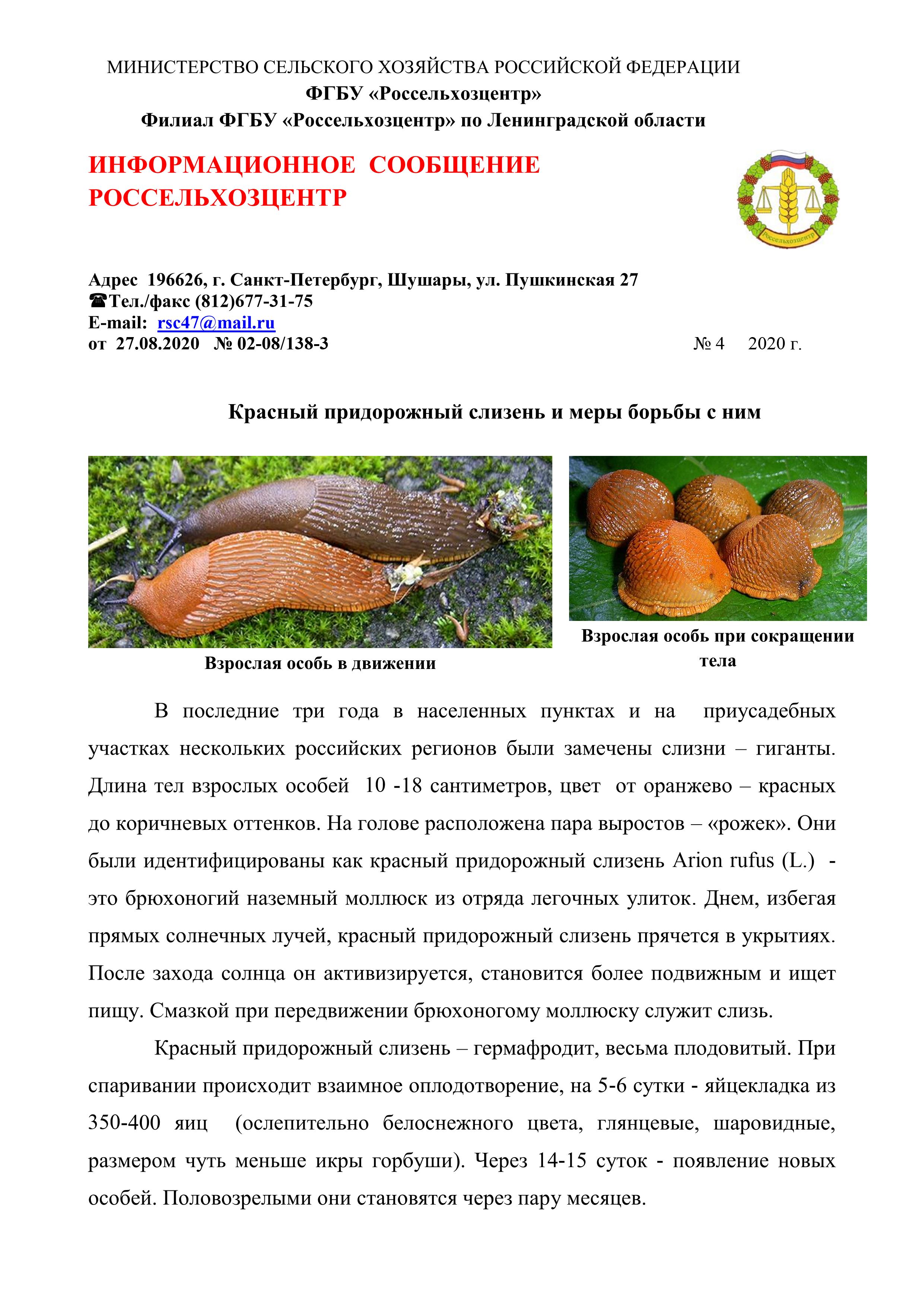 Россельхозцентр.О красном придорожном слизне